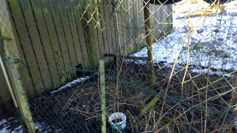 WP_20150130_14_59_43_Pro (Kopie).jpg