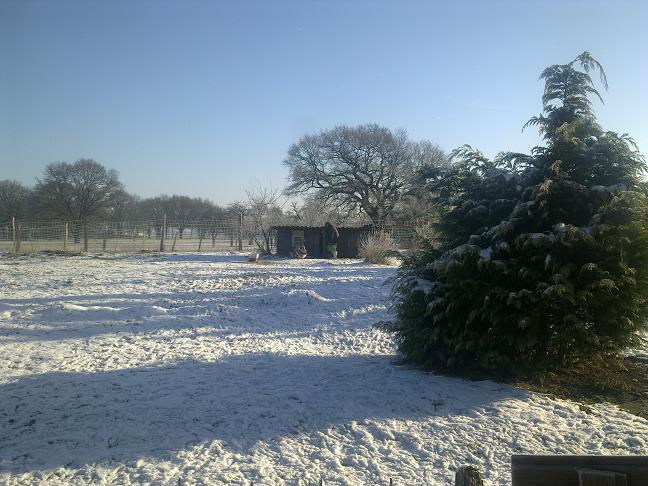 schnee1.JPG