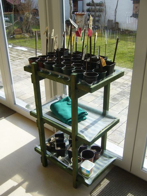 Aussaatregal 006.JPG