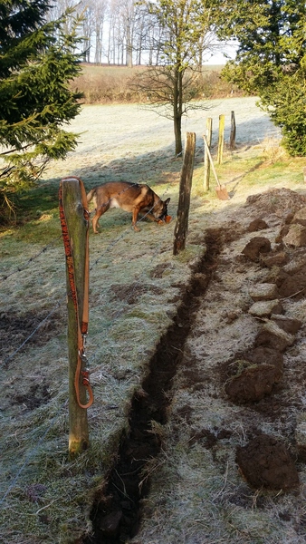 20150228_085151 kleiner.jpg