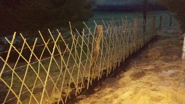 20150228_183505 kleiner.jpg