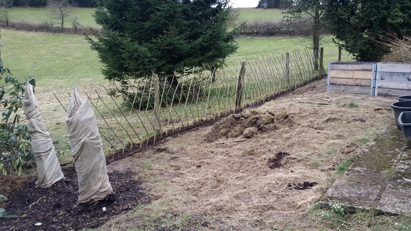 20150301_150554 kleiner.jpg