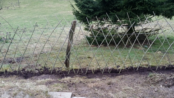 20150301_150629 kleiner.jpg