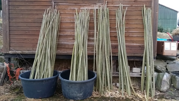 20150227_180648 kleiner.jpg