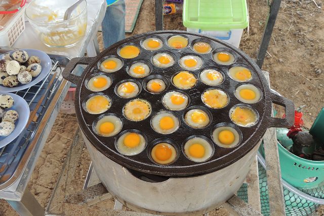 Wachteleier  (nicht BIO)