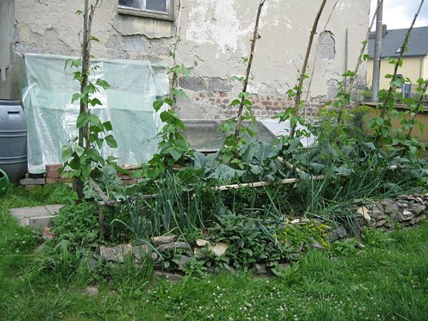 20110701_01.jpg