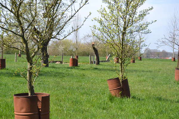 und das ist ein Stück ihres neuen Wirkungskreises