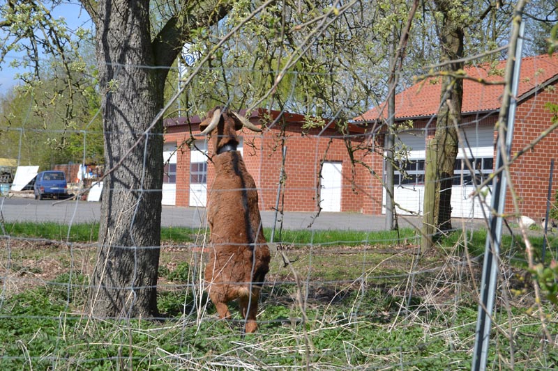 DSC_0063-256.jpg