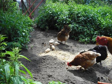 fünf Tage alt, Papa schaut vorbei