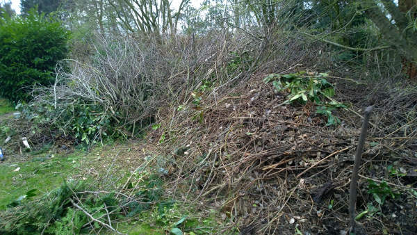 150411_Mt Grünschnitt.jpg