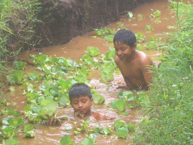 So gefällt es denn Kids!