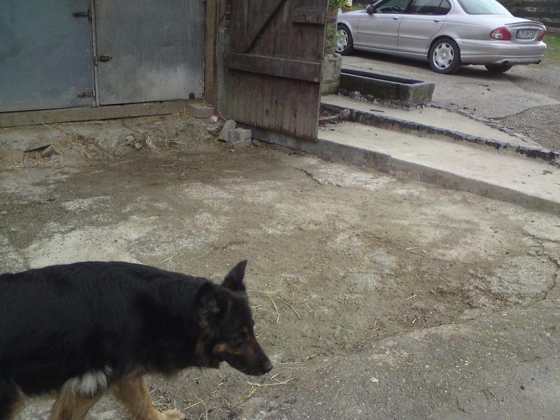 Da kommen die Knochensteine hin