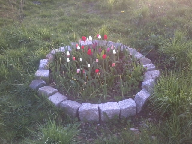 2015-04-28 19.44.47.jpg