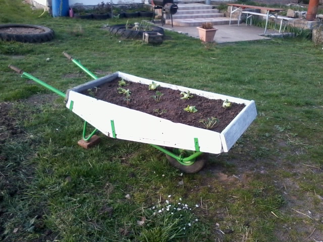 2015-04-30 19.03.03.jpg