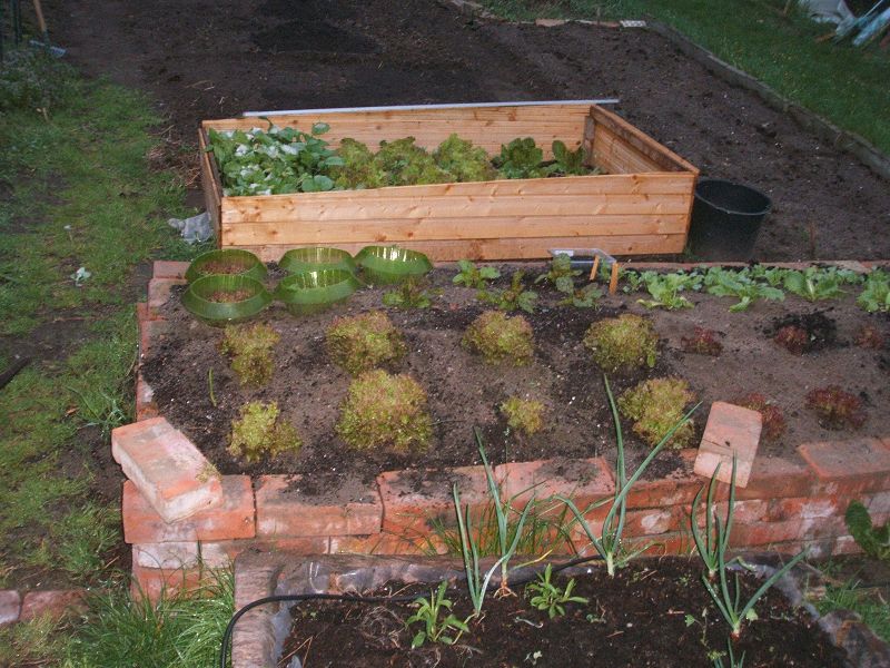 k-hochbeet.jpg