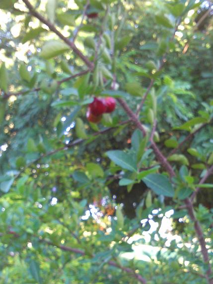 Wer weiss was ich da leckeres habe ;) ?