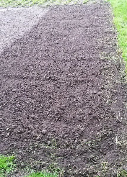 Das Zusatzliche Stück für Zuchini, Gürke und Kürbisse