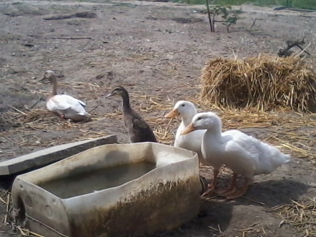 2015-06-08 14.39.57.jpg