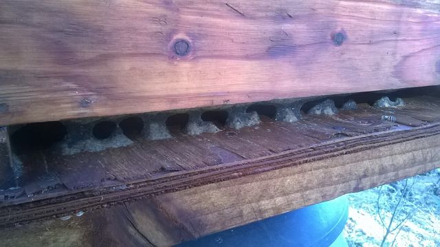 k-WP_20150616_002 (2).jpg