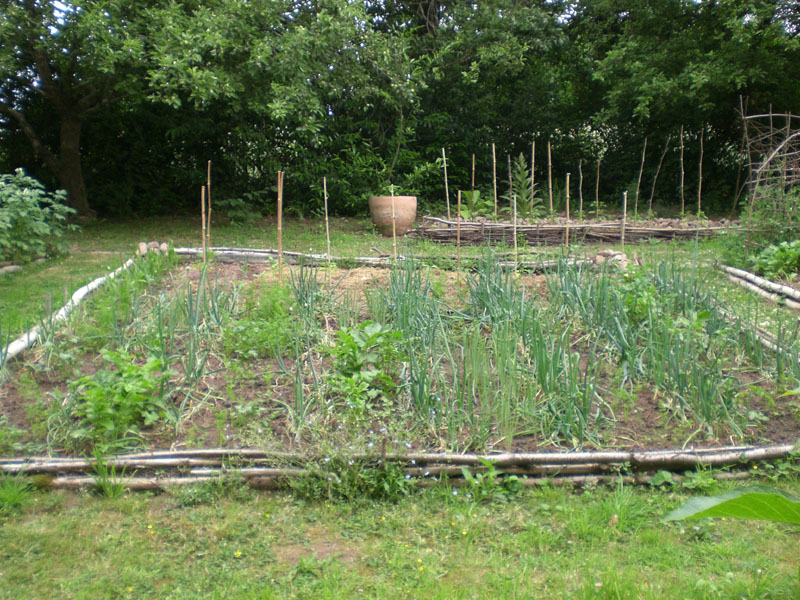 Zwiebeln, Pastinaken, Haferwurz, Möhren