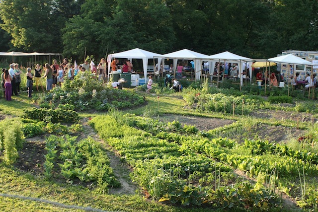 Interkultureller gemeinschaftsgarten wilten/innsbruck, Sommerfest 2010