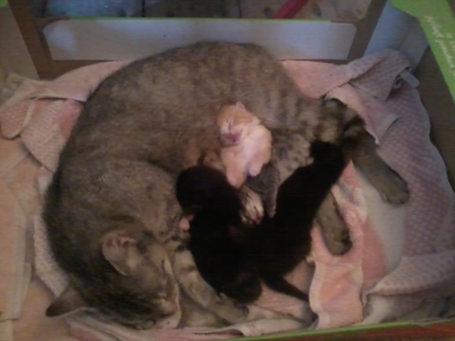 2015-07-03 19.24.22.jpg