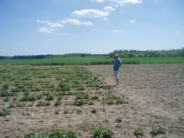 Thomas, denkt nach !