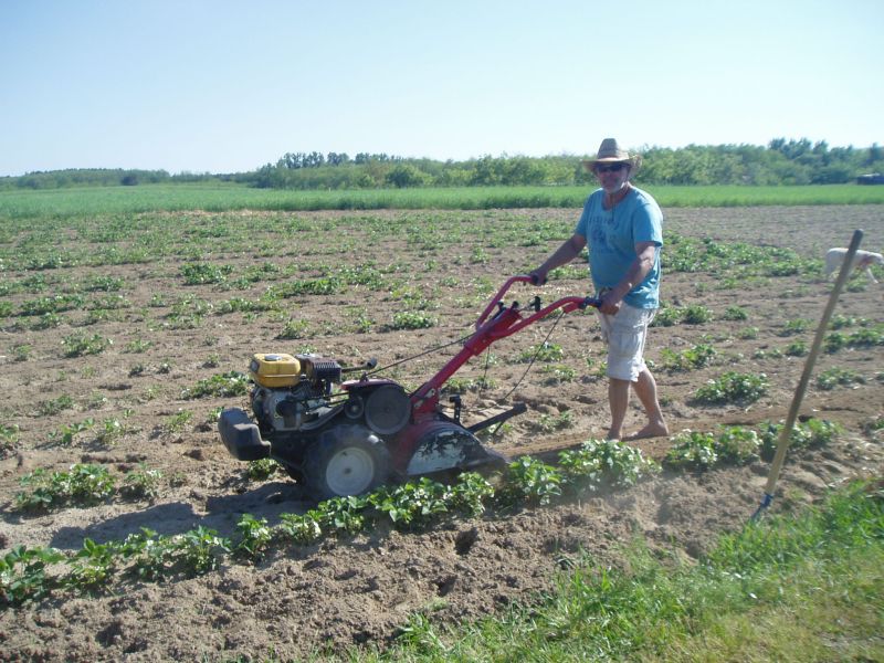 Der Beweis Thomas kann auch Arbeiten !!!!
