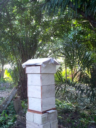 Bienenhaus fertig.jpg