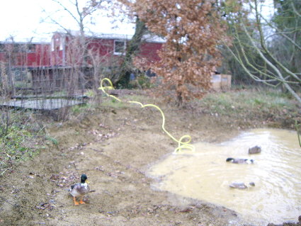 Teichprovisorium