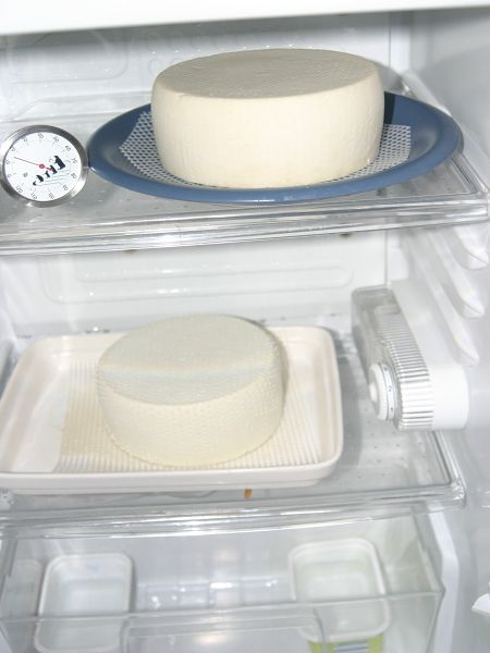 k-reifeschrank.jpg