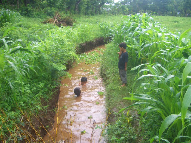 Badespaß im Wassergraben!