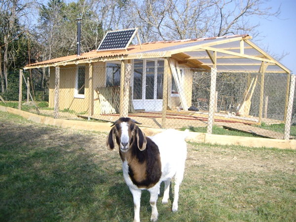20 m2-Gartenhaus bekommt Terrasse