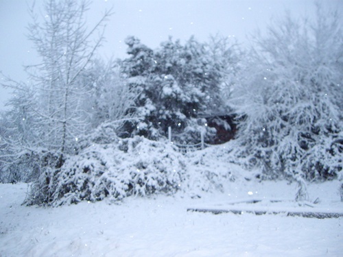 Feb 2015.JPG