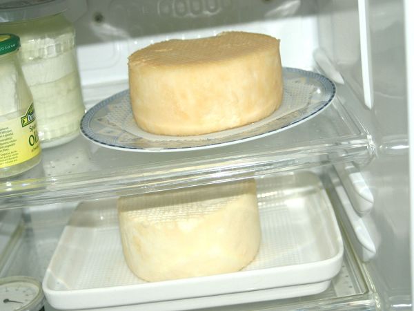 k-hof_und_gouda.jpg