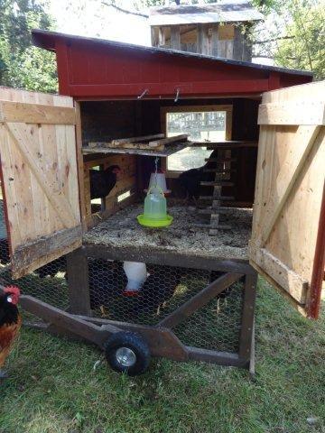 Hühnertraktor mit seitlicher Öffnung