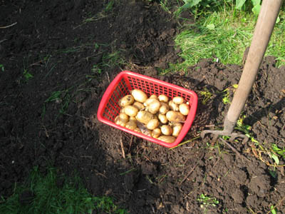 Eine Mahlzeit ist es auf jeden Fall.jpg