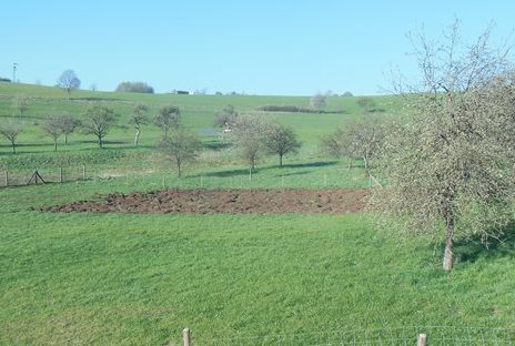 Acker nach Pflügen.JPG