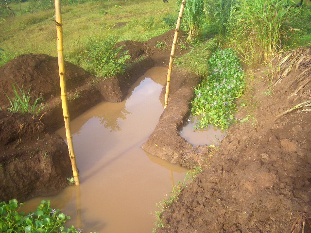 Wasser für die Fische!