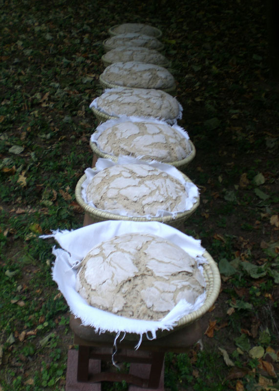 17-brot1.JPG