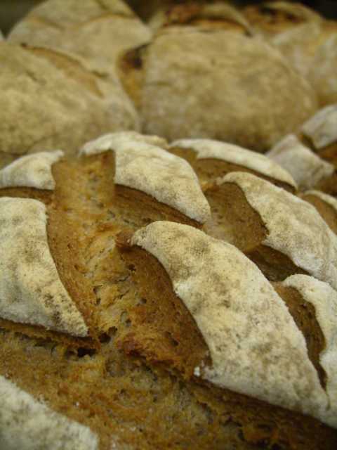 Brot, Katzen, Pizza 010.JPG