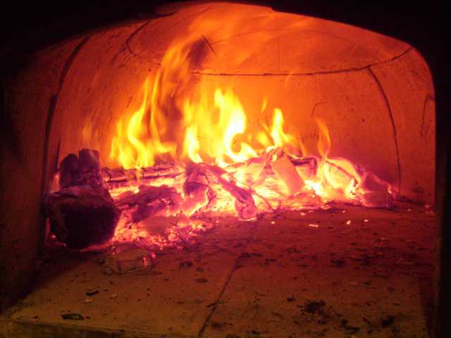 Brot, Katzen, Pizza 032.JPG