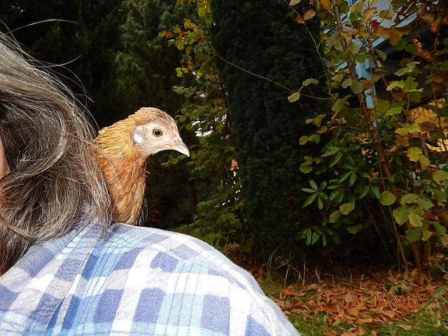 Hildegard war bei allen Gartenarbeiten dabei