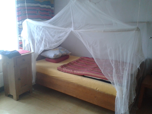 20151008_124652.jpg