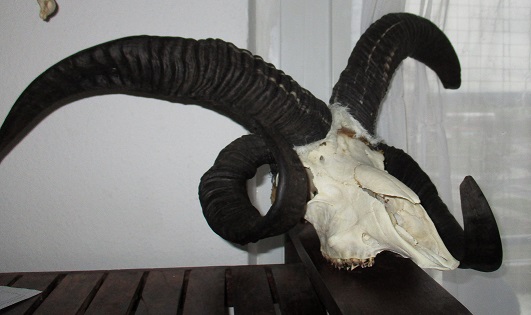 weihnachten 2015 003a,,,,.jpg