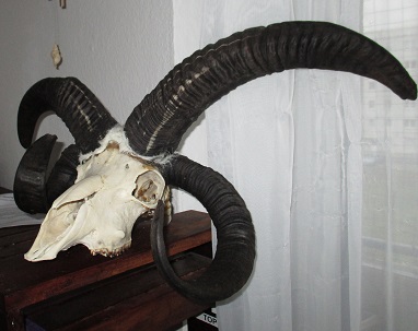 weihnachten 2015 004a....jpg