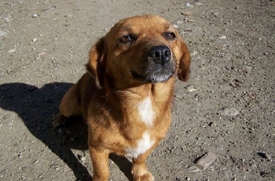 Auch ein "Selbstversorger"...