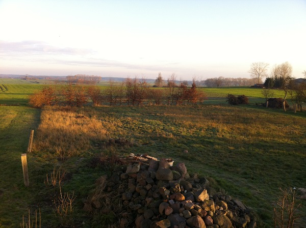 Der Garten im ersten Winter_Dezember 2014.jpg