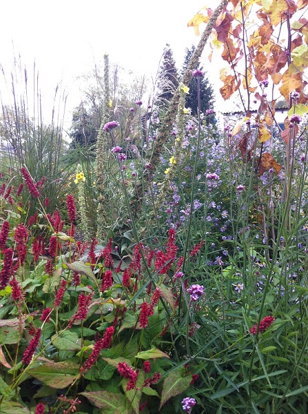 Staudenbeet_Herbst.jpg