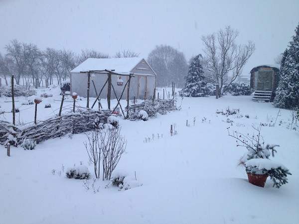 Der Garten im Schnee.jpg